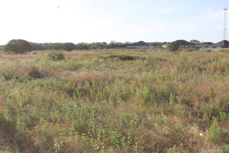Tuscola, TX 79562 Taylor County