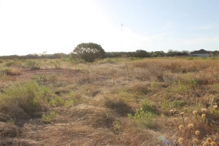 Tuscola, TX 79562 Taylor County