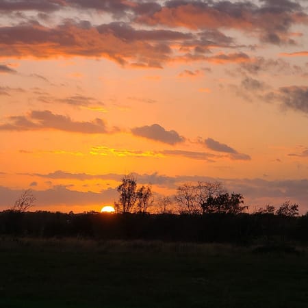 Waller, TX 77445 Waller County