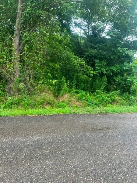 Mansfield, LA 71052 Desoto Parish