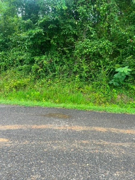 Mansfield, LA 71052 Desoto Parish