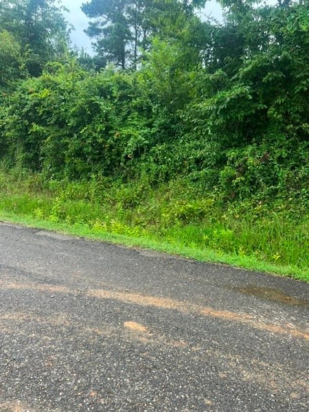 Mansfield, LA 71052 Desoto Parish