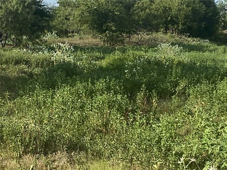 Mount Calm, TX 76673 Hill County