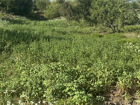 Mount Calm, TX 76673 Hill County