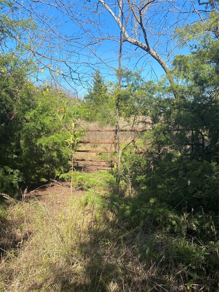 Ladonia, TX 75449 Fannin County