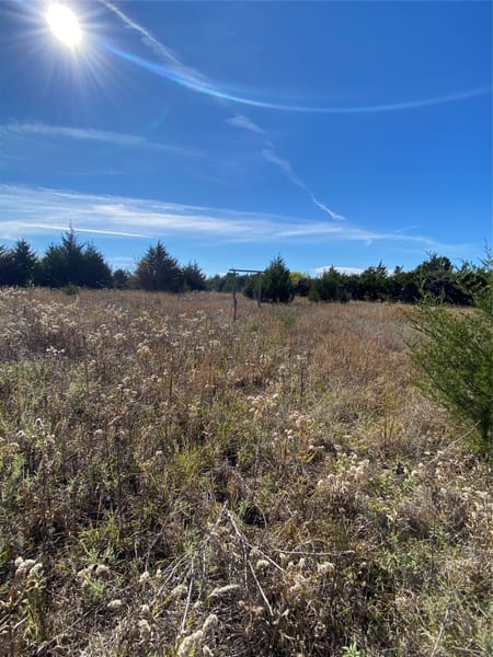 Ladonia, TX 75449 Fannin County