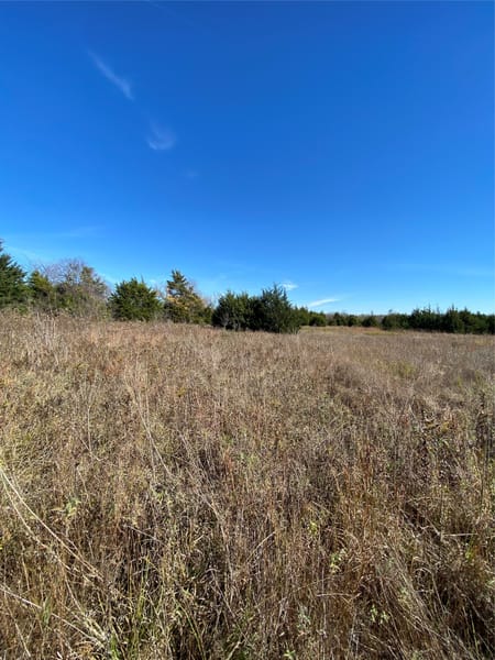 Ladonia, TX 75449 Fannin County