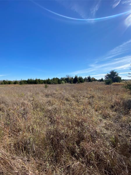 Ladonia, TX 75449 Fannin County