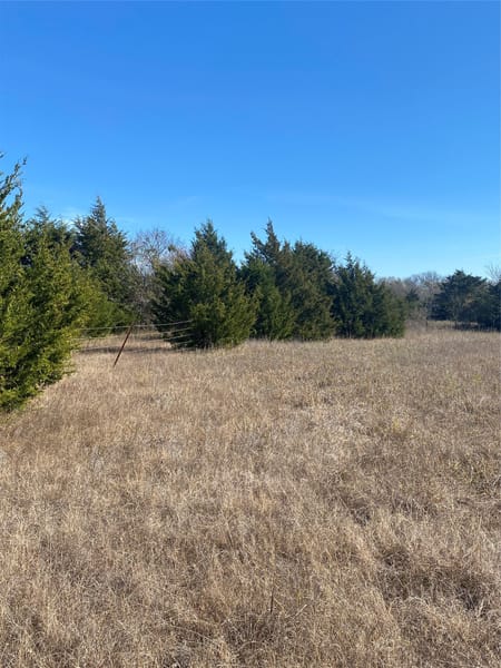 Ladonia, TX 75449 Fannin County