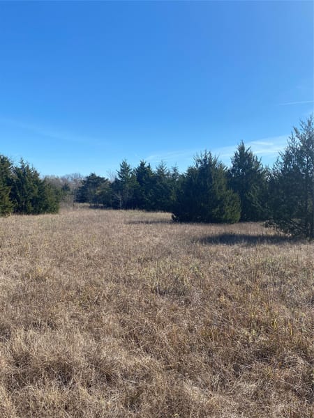 Ladonia, TX 75449 Fannin County
