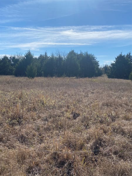 Ladonia, TX 75449 Fannin County