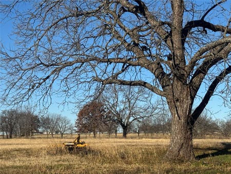 Collinsville, TX 76271 Grayson County