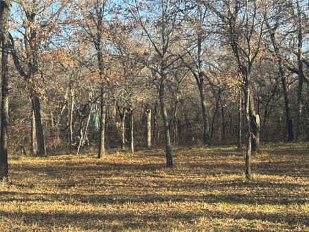 Collinsville, TX 76271 Grayson County