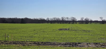 Forney, TX 75126 Kaufman County