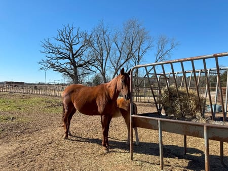 Ben Wheeler, TX 75754 Van Zandt County