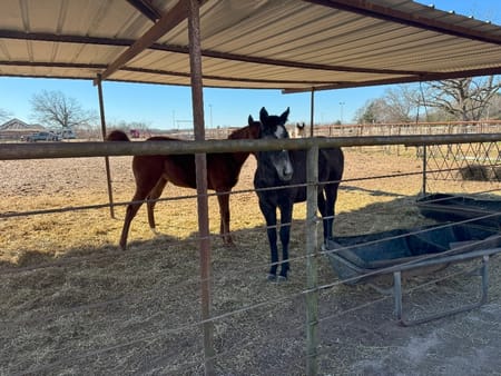 Ben Wheeler, TX 75754 Van Zandt County