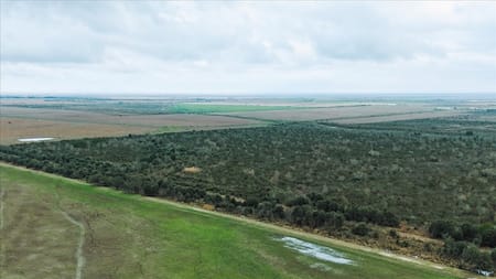 Stowell, TX 77661 Chambers County