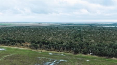 Stowell, TX 77661 Chambers County