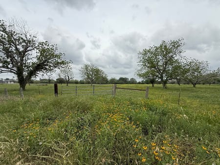 Wharton, TX 77488 Wharton County