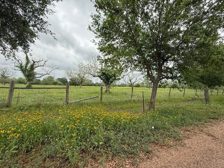 Wharton, TX 77488 Wharton County