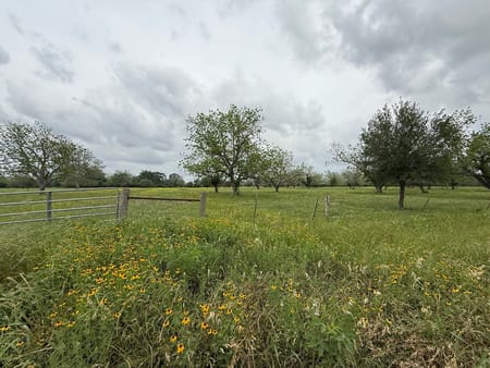 Wharton, TX 77488 Wharton County