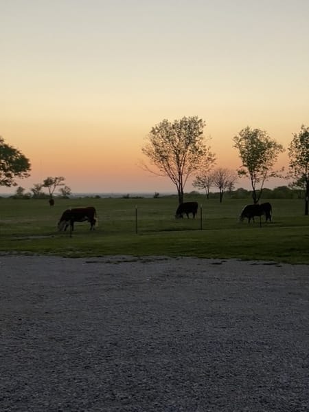 Gunter, TX 75058 Grayson County