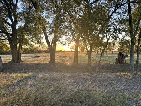 Gunter, TX 75058 Grayson County