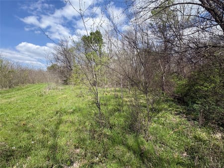 Sulphur Springs, TX 75482 Hopkins County
