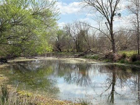 Sulphur Springs, TX 75482 Hopkins County