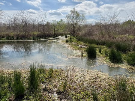 Sulphur Springs, TX 75482 Hopkins County