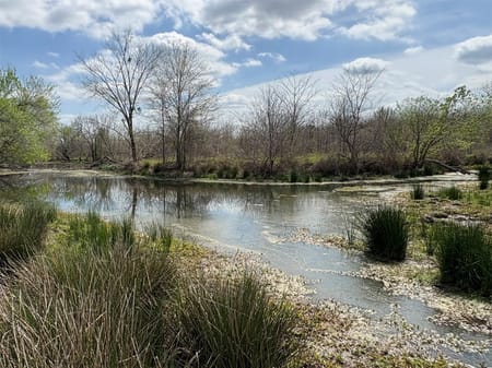 Sulphur Springs, TX 75482 Hopkins County