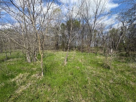 Sulphur Springs, TX 75482 Hopkins County