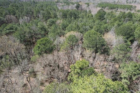 Marshall, TX 75672 Harrison County