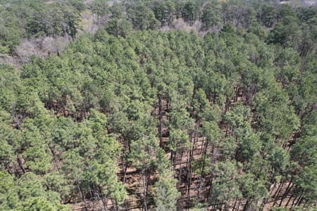 Marshall, TX 75672 Harrison County