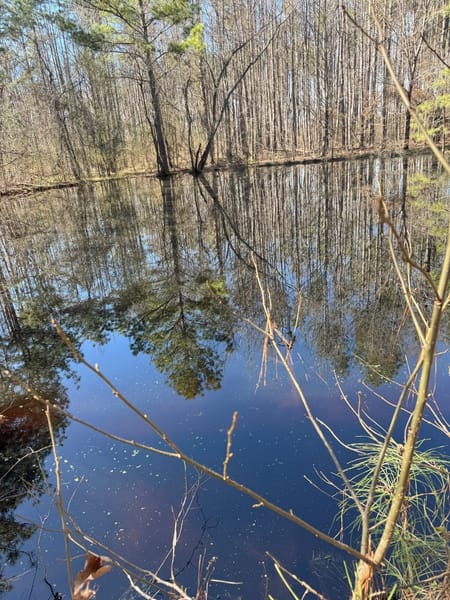 Marshall, TX 75672 Harrison County