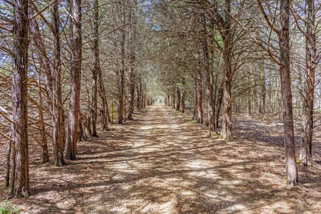 Ivanhoe, TX 75447 Fannin County