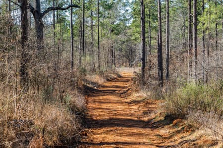 Ben Wheeler, TX 75754 Van Zandt County