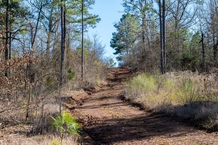 Ben Wheeler, TX 75754 Van Zandt County