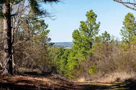 Ben Wheeler, TX 75754 Van Zandt County
