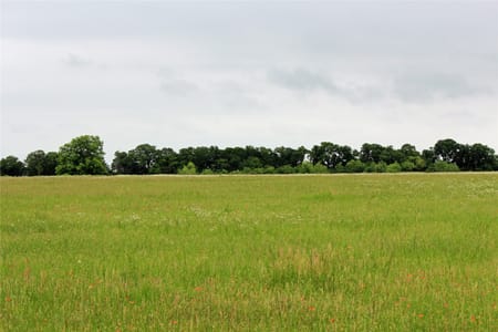 Cleburne, TX 76033 Johnson County
