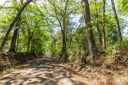 Leesburg, TX 75451 Camp County