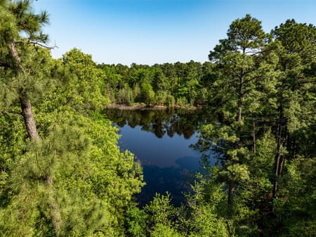 Leesburg, TX 75451 Camp County