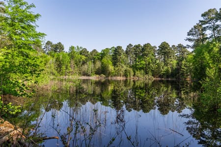 Leesburg, TX 75451 Camp County