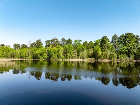 Leesburg, TX 75451 Camp County