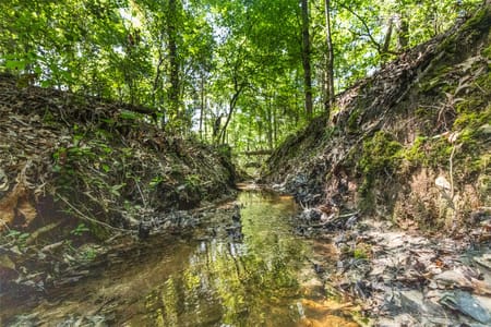 Leesburg, TX 75451 Camp County