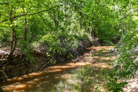 Leesburg, TX 75451 Camp County