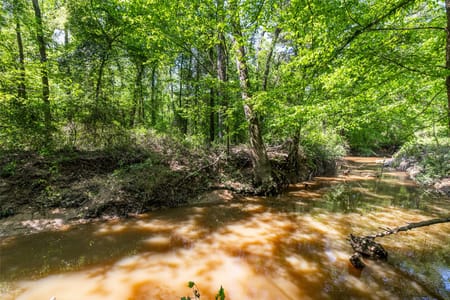 Leesburg, TX 75451 Camp County