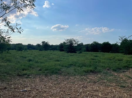 Honey Grove, TX 75446 Fannin County