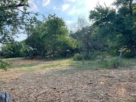 Honey Grove, TX 75446 Fannin County