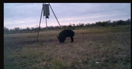 Wingate, TX 79566 Taylor County